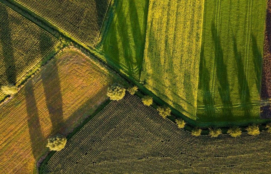 Pola i granice gruntów widziane z lotu ptaka